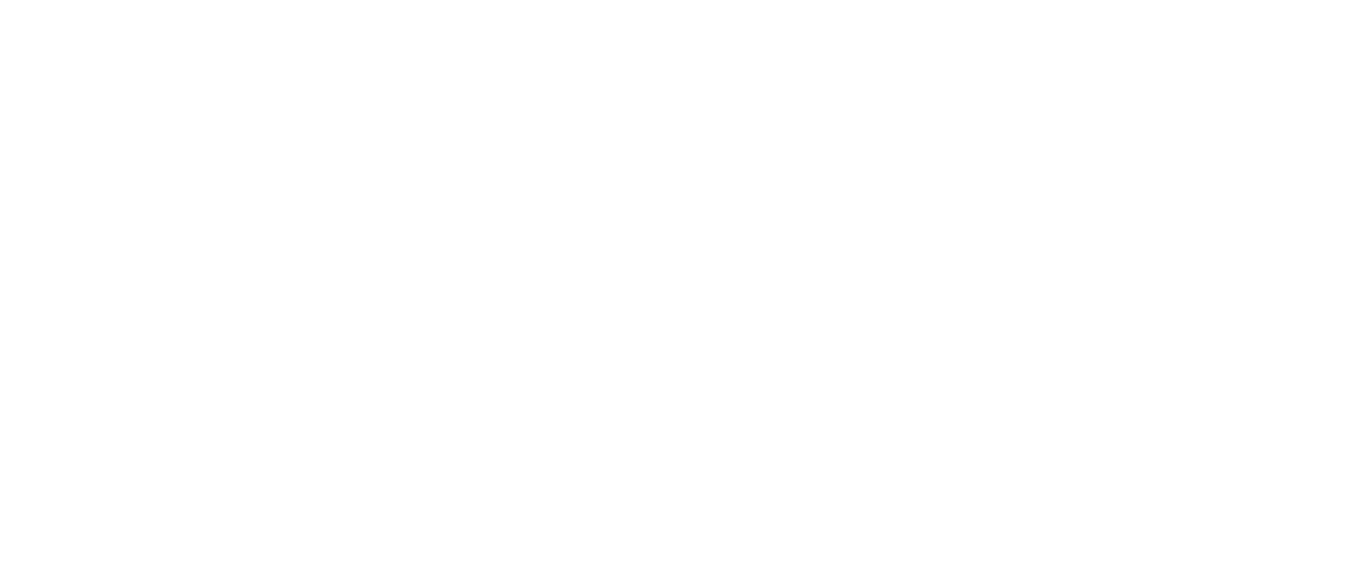 logo bianco